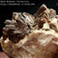 Barite